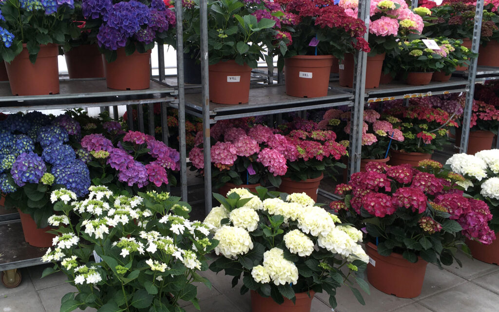 HBA VIP event Agriom