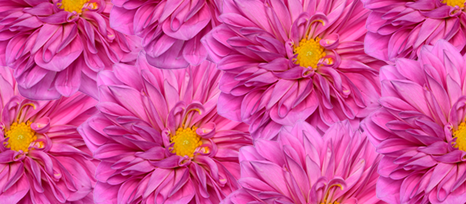 Havana slider 1 1600 x700