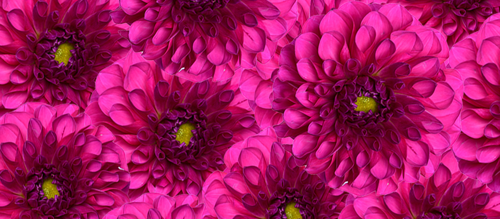 Salta slider 1 1600 x700